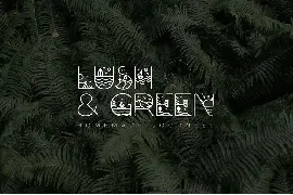 Wild Dreams Display Font