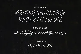 Sensai â€“ Vintage Monoline Script font