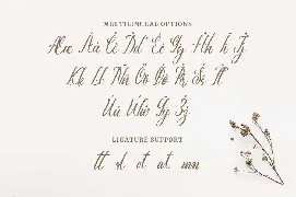 Emiliana - Elegant Font