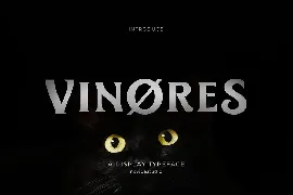 Vinores Typeface font