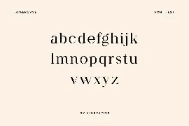 Paperboard Elegant Serif Font