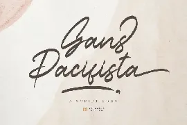 Gans Pacifista | A Brush Script Font