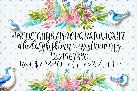 The Slowbird - Typeface font