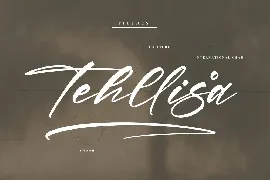 Pirattes Modern Signature Font