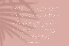 Soulmates Script font