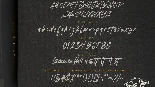 Timeless Nature - Authentic Handwritten Typeface font