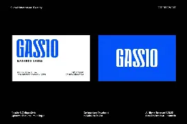 Regatino Geometric Display Font