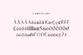 Regardant Luxury Serif Font