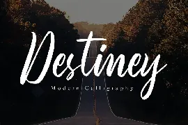 Destiney - Elegant Script Font