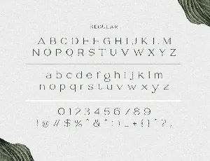 Savoire - Hand Lettered Serif font