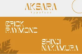 Akasara | Modern Serif font