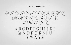 SECRET HILLS font