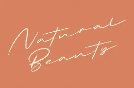 Briquete Script | Signature Font