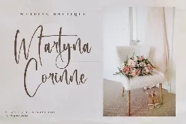 Metteorid Beautiful Script Font