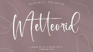 Metteorid Beautiful Script Font