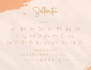 Sellomita - Handwritten Font