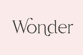 Wondar Quason Classic Serif Typeface font