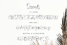 Damreds - The Beauty Handwritten Font