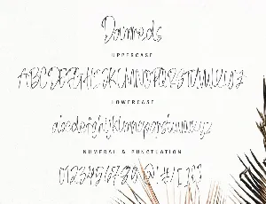 Damreds - The Beauty Handwritten Font