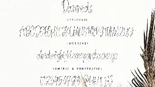 Damreds - The Beauty Handwritten Font