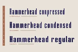 Hammerhead Typeface|Industrial Condensed Font