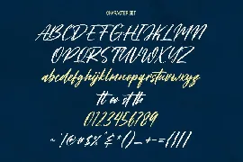 Mitoda Reels Brush Script Font