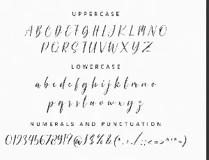 The Sunshine - Elegant Font