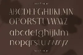 Barieta Elegant Typeface font