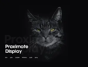 Proximate - Modern Display Typeface + WebFonts