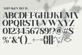 SALVAGES BOLD | SERIF FONT