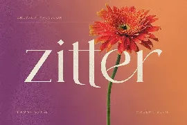 Zitter font