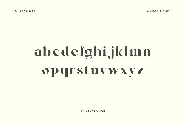 Funtonaile Elegant Serif Font