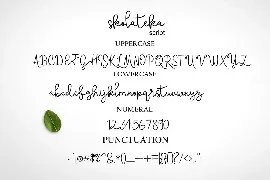 skolateka  handwritten typeface font