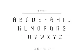 Buvica - Sans Serif Display Font