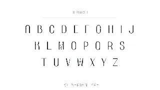 Buvica - Sans Serif Display Font