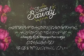 Savo Bawdy - Cursive Typeface font