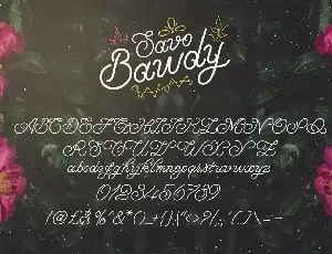 Savo Bawdy - Cursive Typeface font