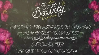 Savo Bawdy - Cursive Typeface font