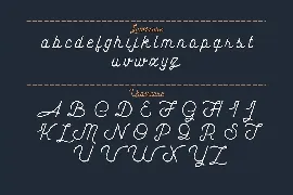 The Cape Hall - Monoline Script Font