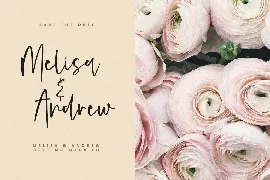 De Basto - A Beauty Script Font