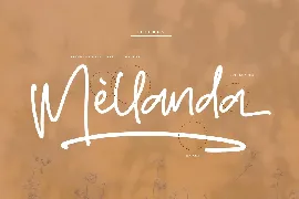 Golden Hourse Monoline Signature Font