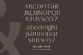 Breadley Serif font