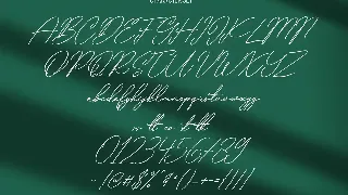 Qualyters Script Font