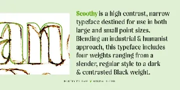 Scootchy font