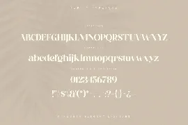 Purity - Modern Ligature Font