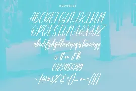 Beauty Snowy Script Font