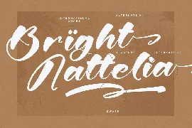 Bright Nattelia Bold Handwritten Script Font