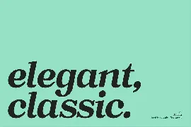 Macaw - Serif Typeface font