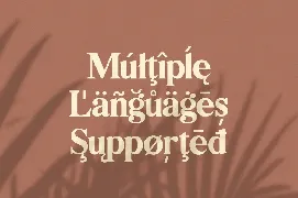 Bilingual Serif Font Duo