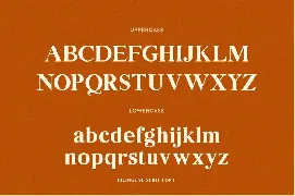 Bilingual Serif Font Duo